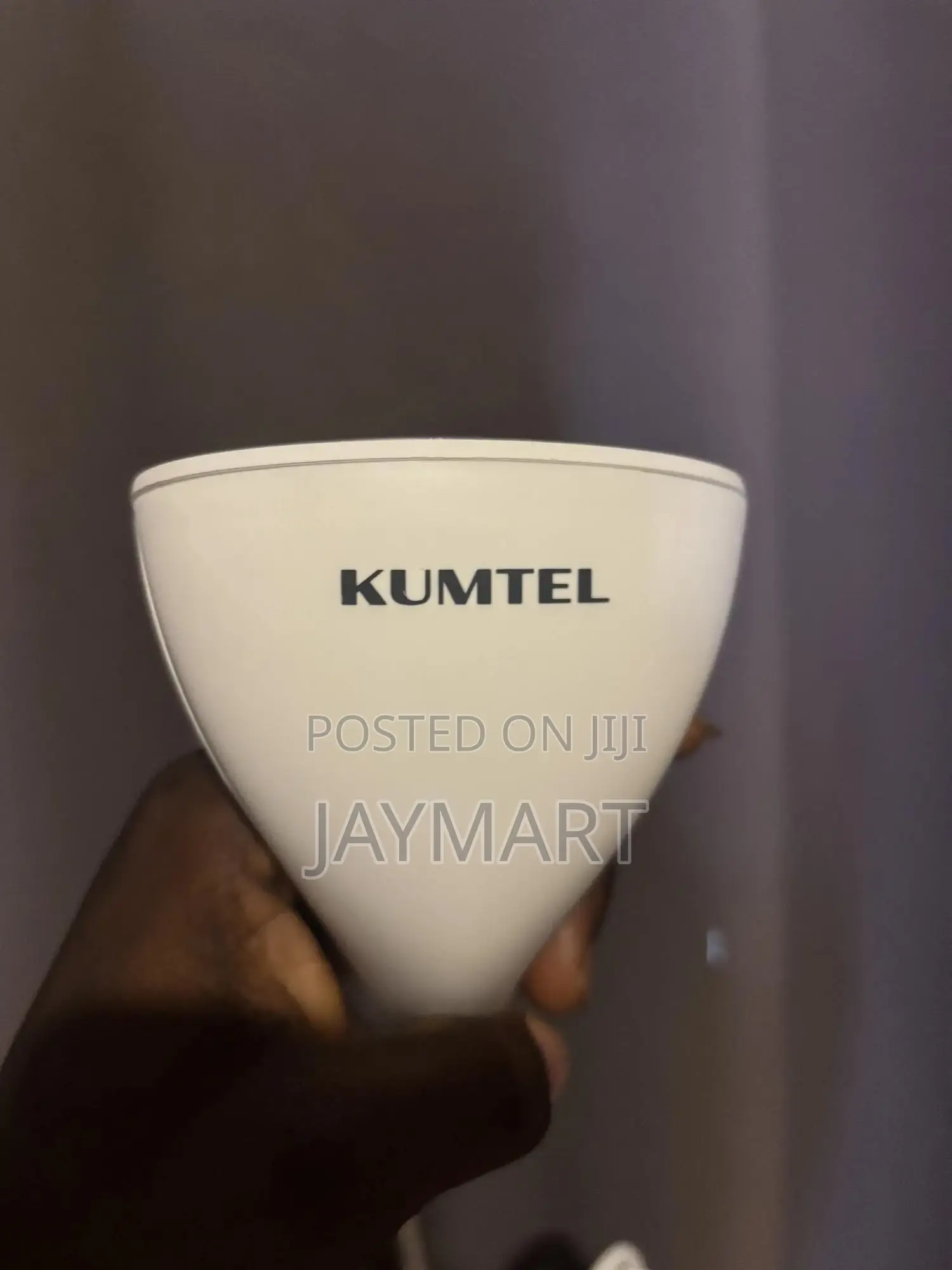 Garment Steamer