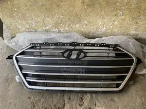 Elantra 2017,2018 Bumper Grille