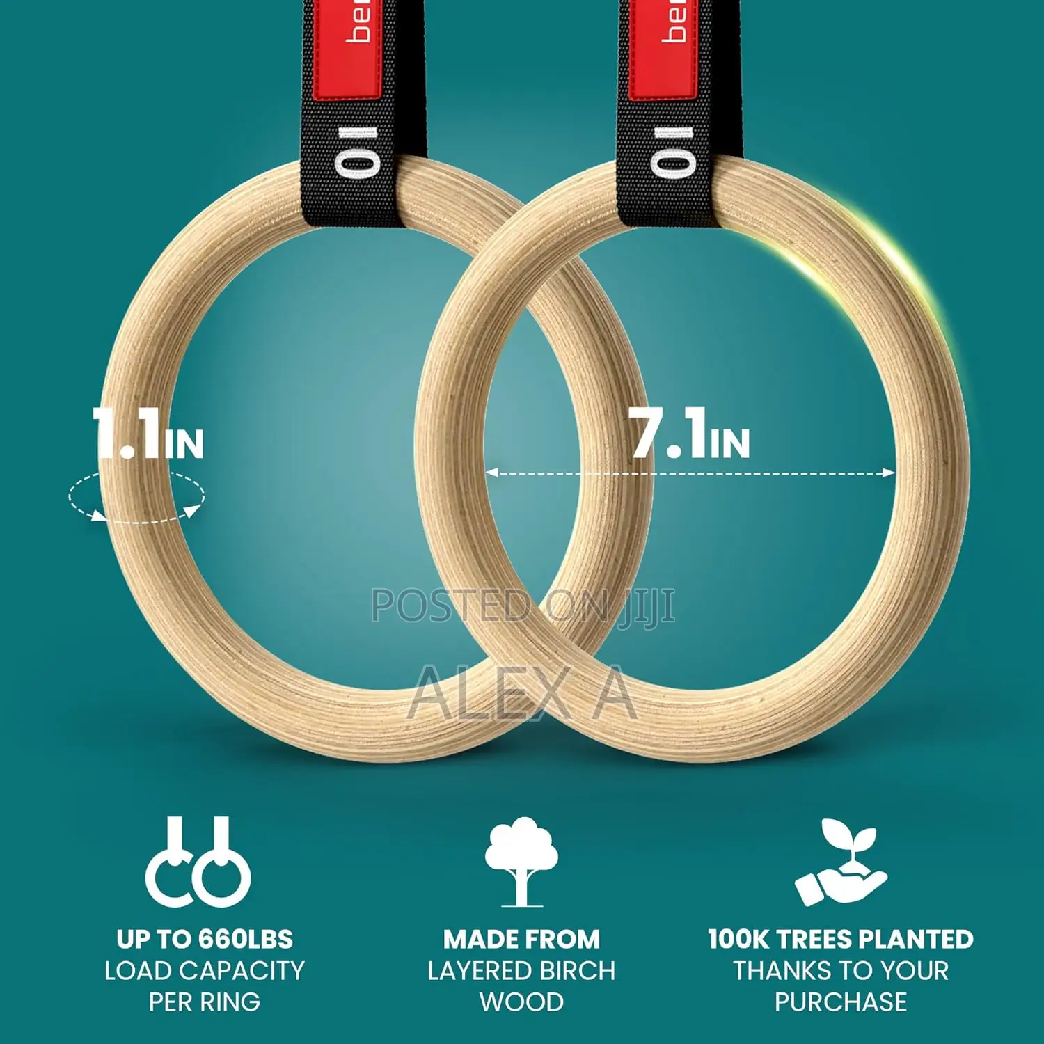 Calisthenics Gym Ring