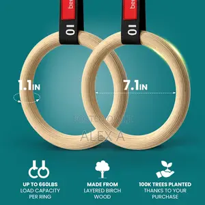 Calisthenics Gym Ring