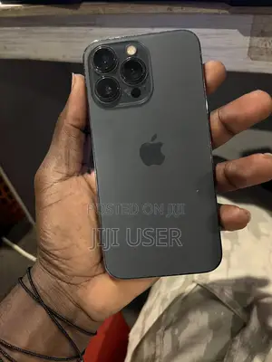 Apple iPhone 13 Pro 256 GB Gray
