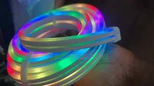 Led Neon RGB Light With Remote and App Control