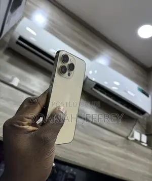 Apple iPhone 14 Pro Max 256 GB Gold