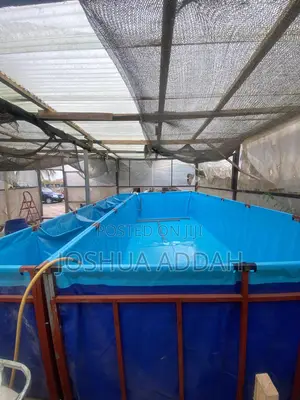 Fishpond +Filtering System