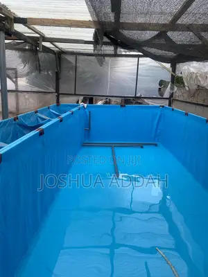 Fishpond +Filtering System