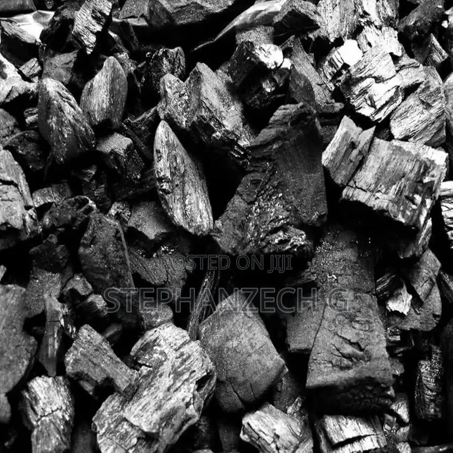 Excellent Quality Range of Barbecue Charcoal.