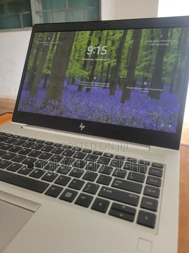 Laptop HP EliteBook 745 G5 8GB AMD Ryzen 7 SSD 256GB