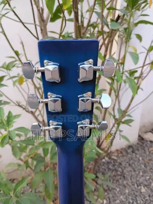 Freedom Fag640ceq/BLS Semi Acoustic Guitar With Padded Bag