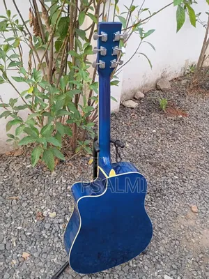 Freedom Fag640ceq/BLS Semi Acoustic Guitar With Padded Bag