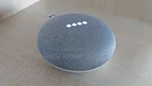 Google Nest Mini Model Hoa