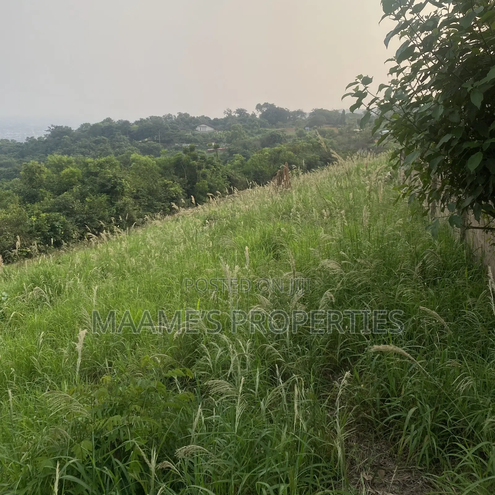 5 Plots of Land at Peduase With a Great View, Per Plot Is 