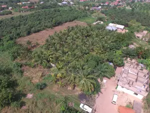 5 Plots of Land for Sale at Ayi-Kuma,Dodowa
