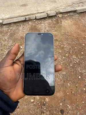 Apple iPhone 12 Pro Max 128 GB Gray