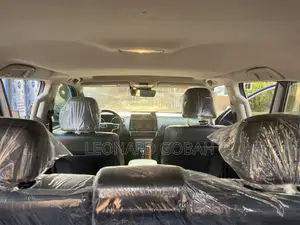 Toyota Land Cruiser Prado 2.8 2023 Brown