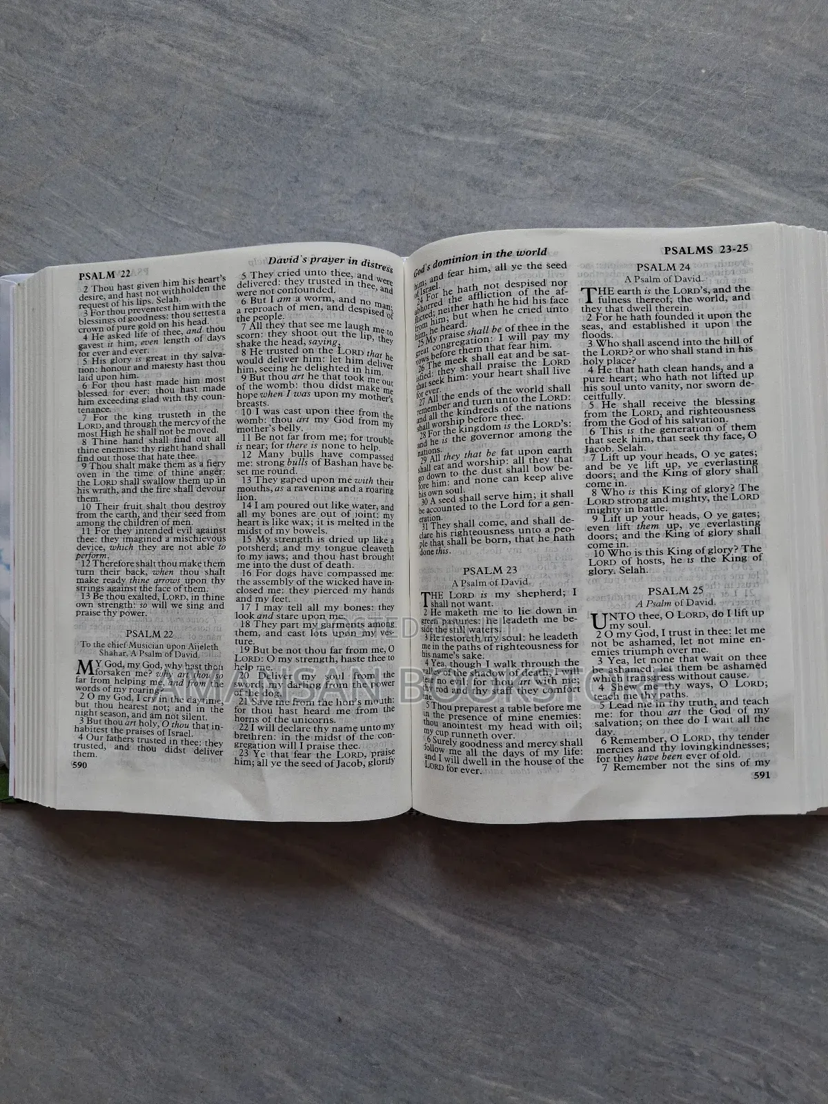 Engagement and Wedding Bible (King James Version)