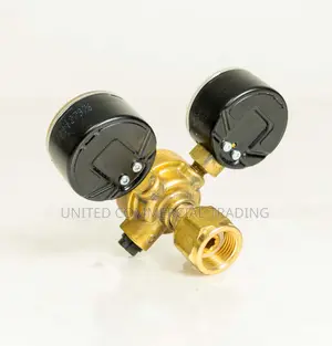 Regulator Double Gauge