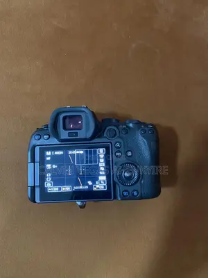 Canon R6 Mirrorless