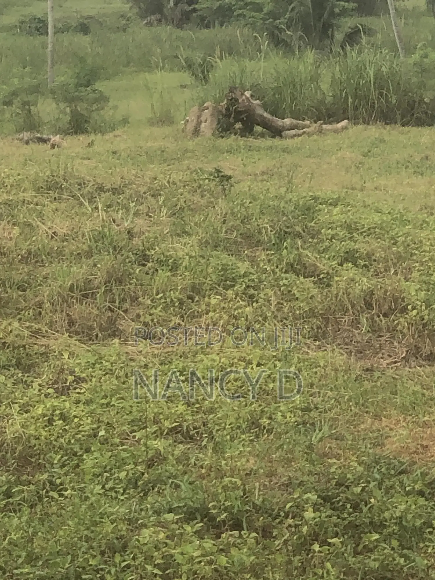 4 Acres at Nsawam Pakro