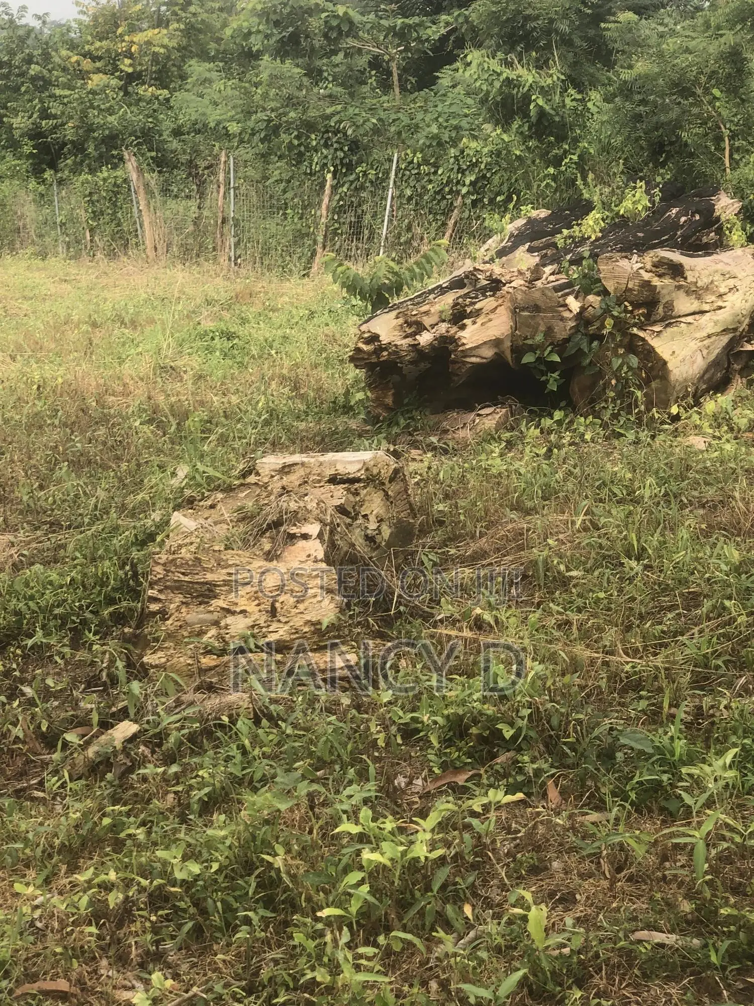 4 Acres at Nsawam Pakro