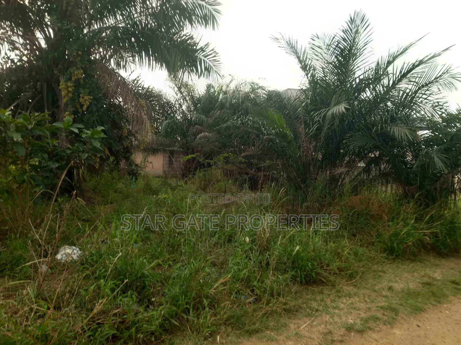 Plot for Sale at Asokore Mampong ( Near Tech Junction/ Knust)