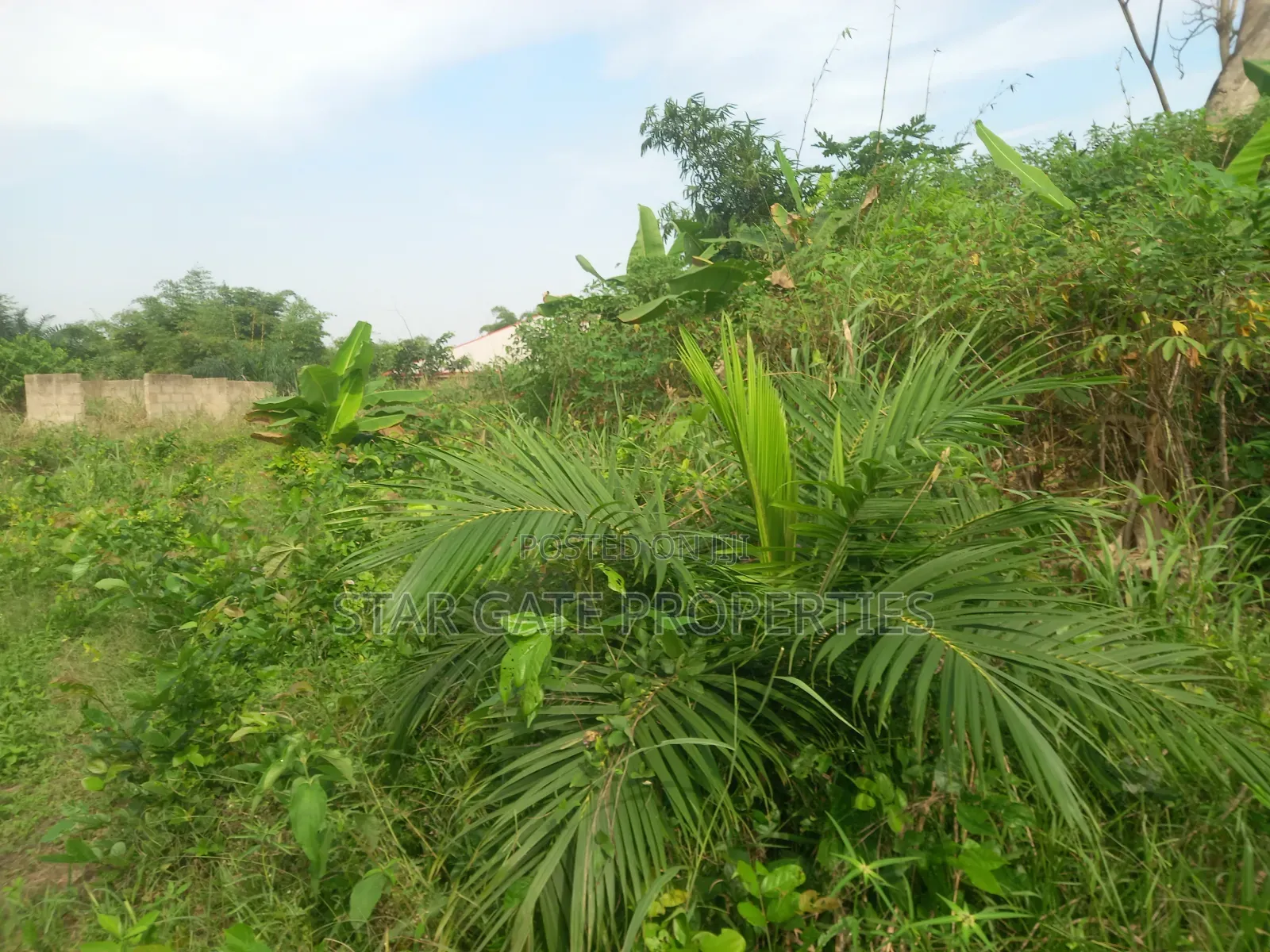 6 Plots for Sale at Ofoase Kokoben ( Near Anwiankwanta)
