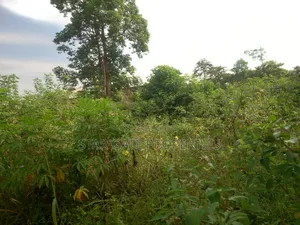 6 Plots for Sale at Ofoase Kokoben ( Near Anwiankwanta)