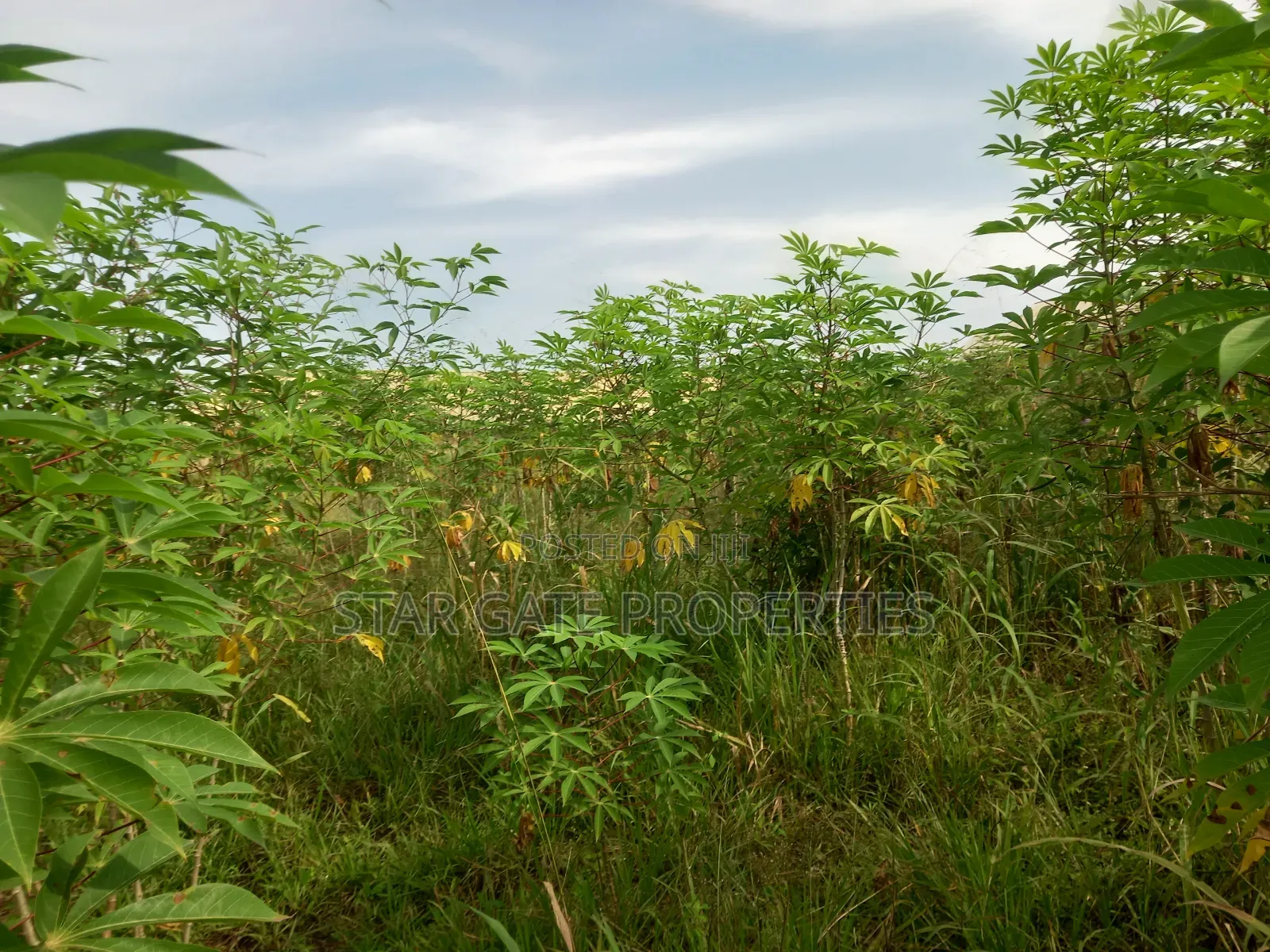 6 Plots for Sale at Ofoase Kokoben ( Near Anwiankwanta)