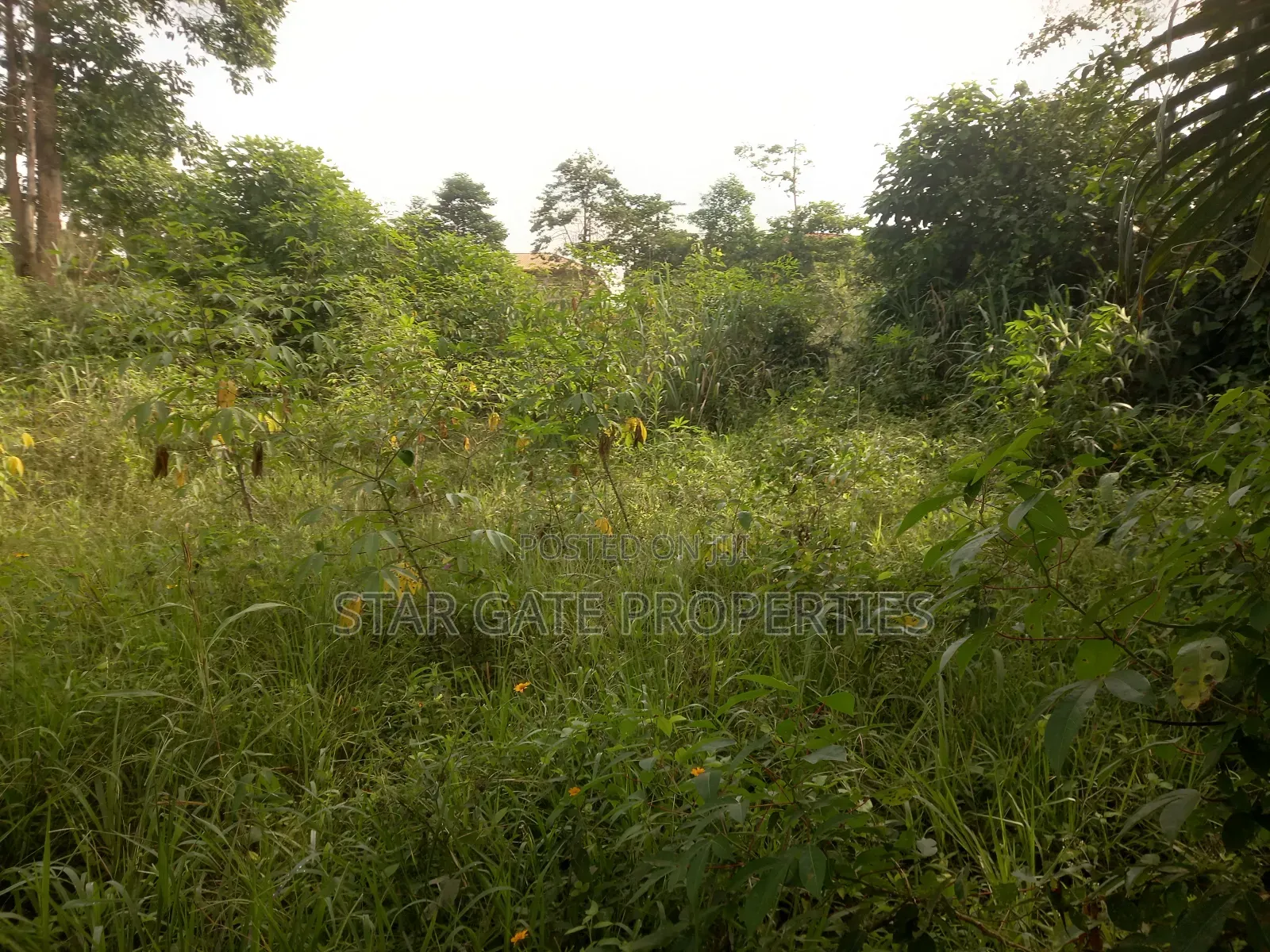6 Plots for Sale at Ofoase Kokoben ( Near Anwiankwanta)