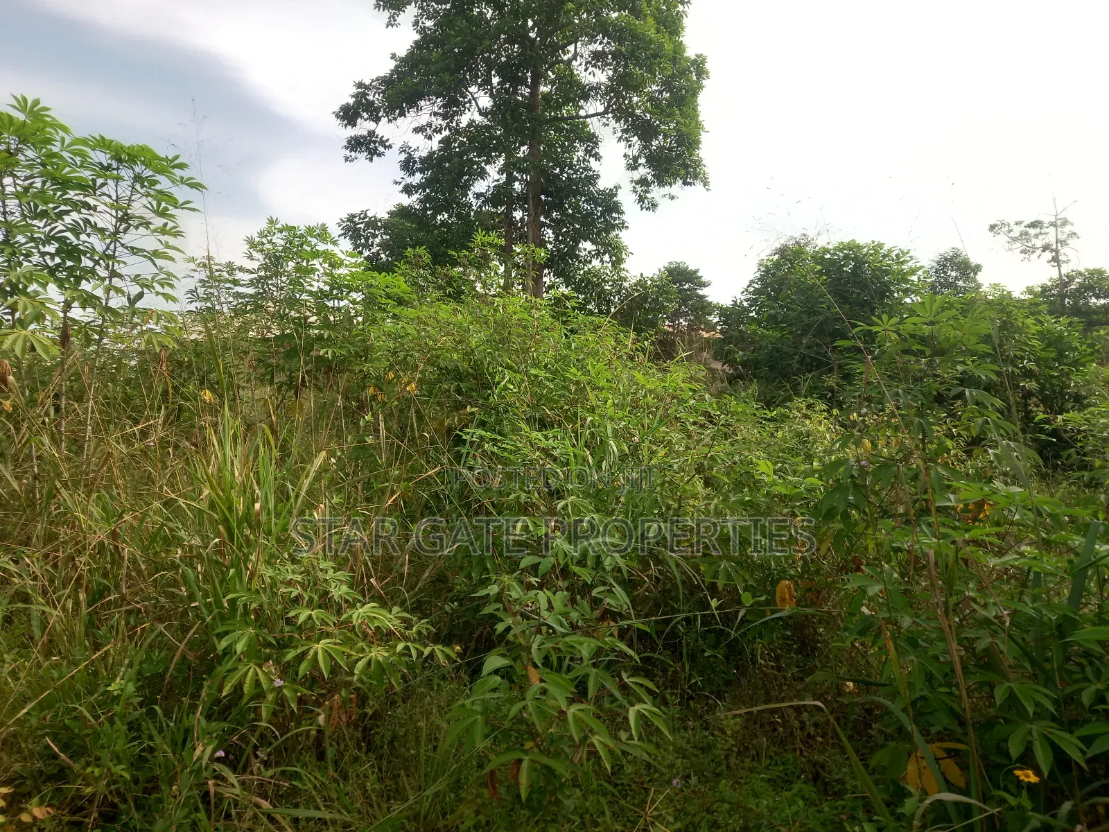 6 Plots for Sale at Ofoase Kokoben ( Near Anwiankwanta)