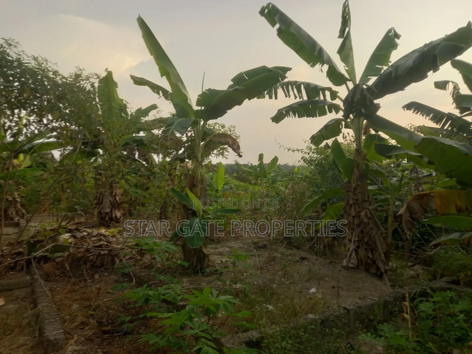 10bdrm House in Ejisu Abenase for sale