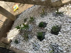 The Best Garden Services and Landscaping in Accra.