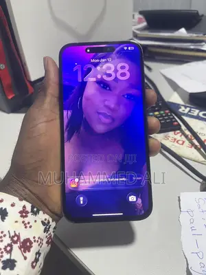 Apple iPhone 14 Pro Max 256 GB Gray