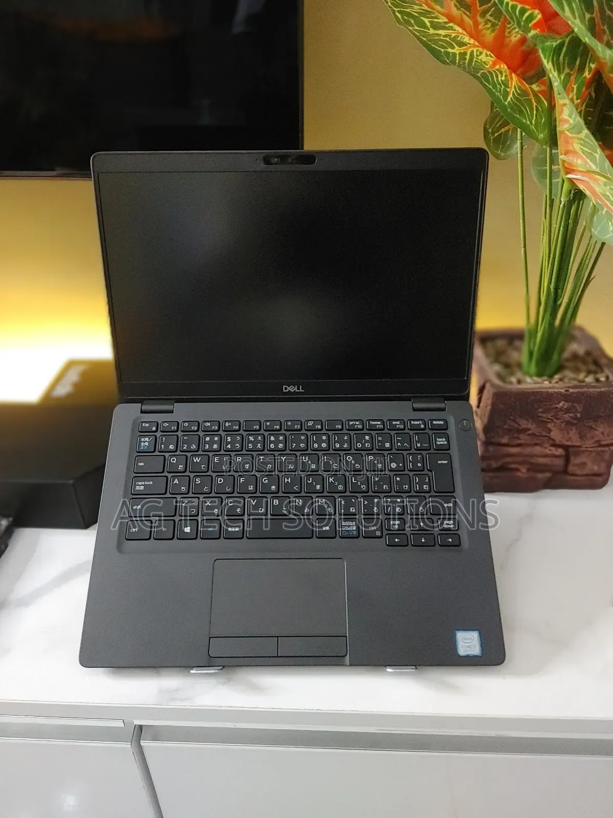 Laptop Dell Latitude 5400 16GB Intel Core I5 SSD 256GB