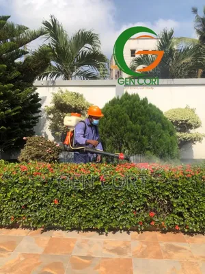 Cockroaches Fumigation