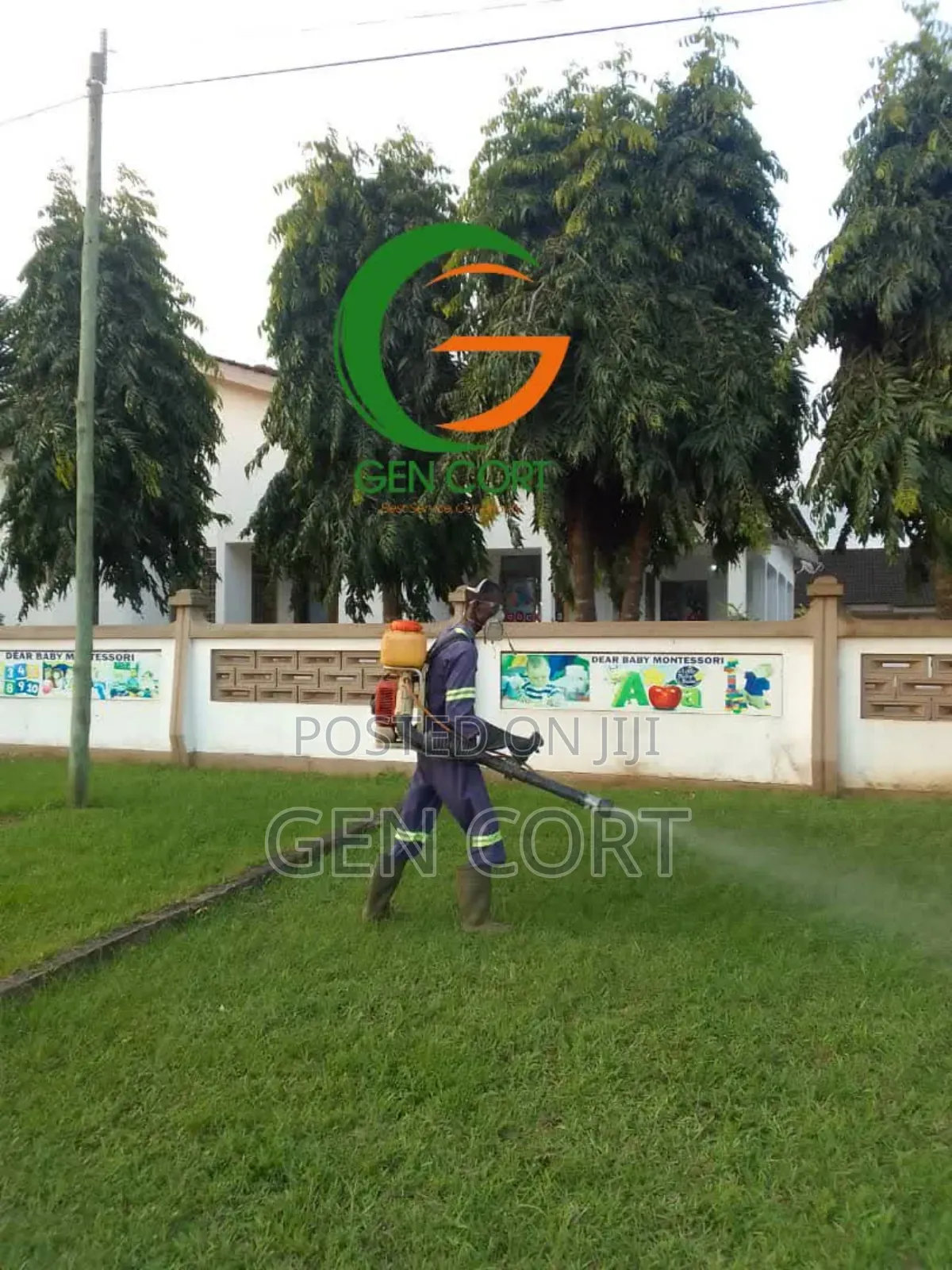 Apartment Fumigation
