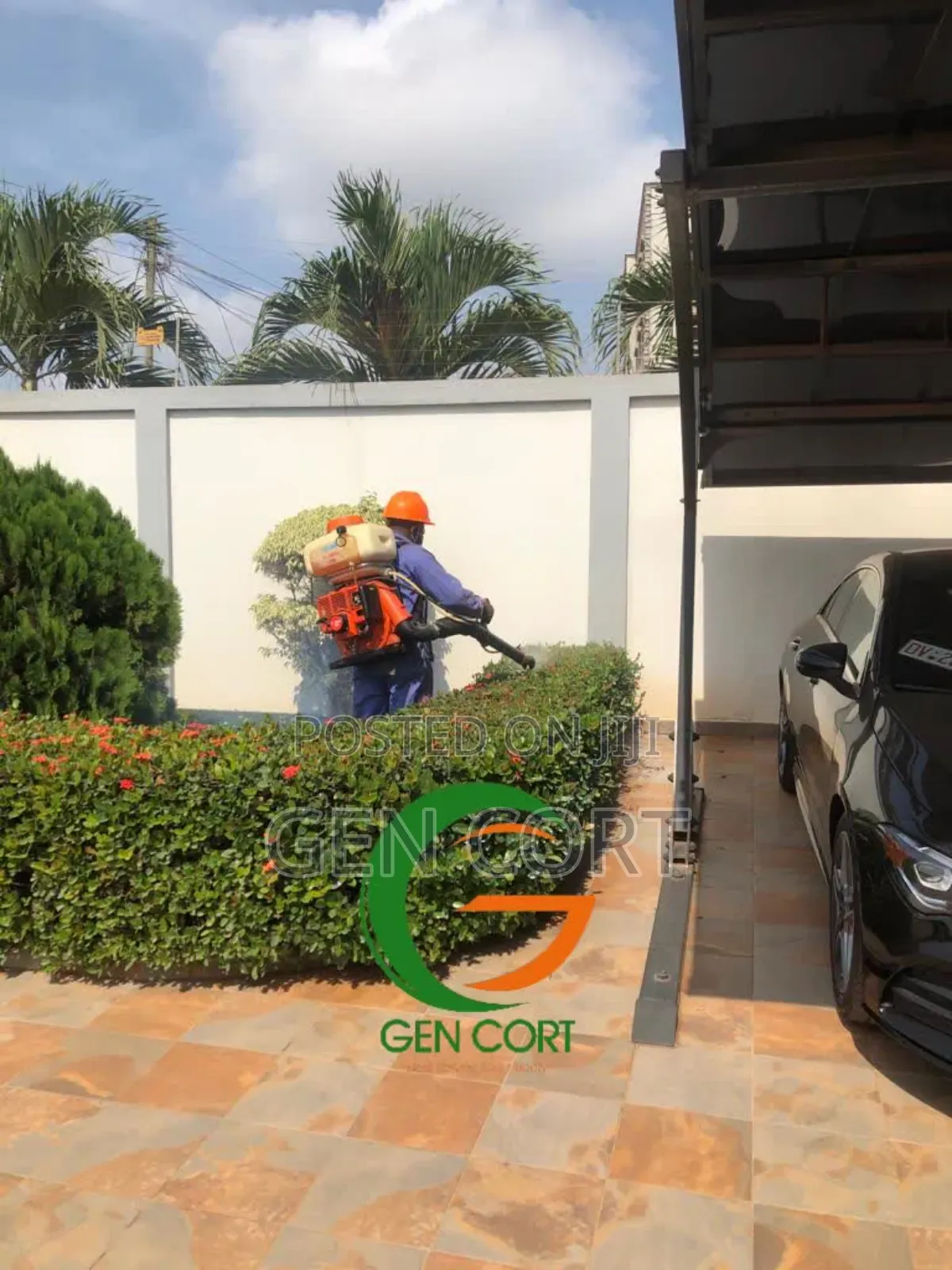 Apartment Fumigation
