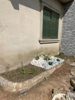 The Best Garden Services and Landscaping in Accra.