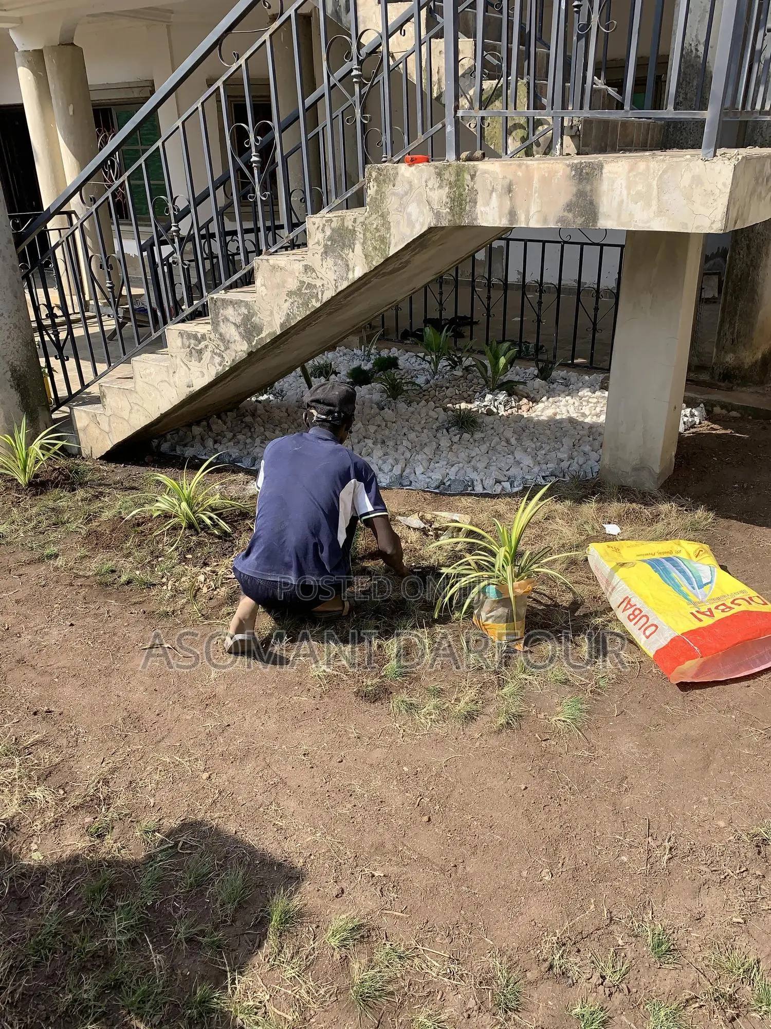 The Best Garden Services and Landscaping in Accra.