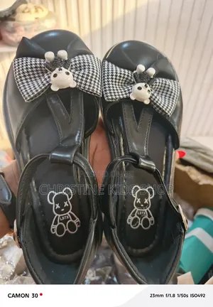 Teddy Fashion