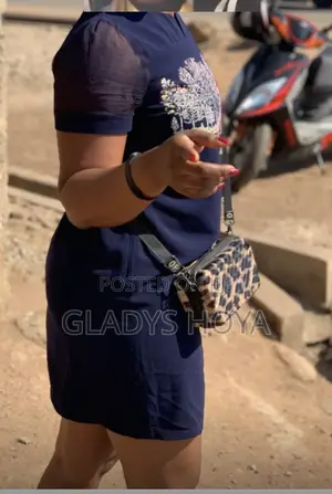 Crossbody Ladies Bag