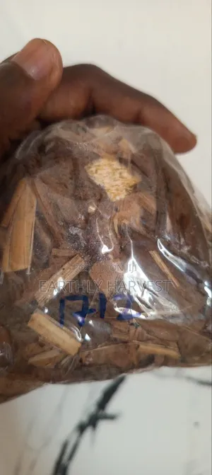 Domo | Volvariela Volvacea Mushroom Spawn/Seed