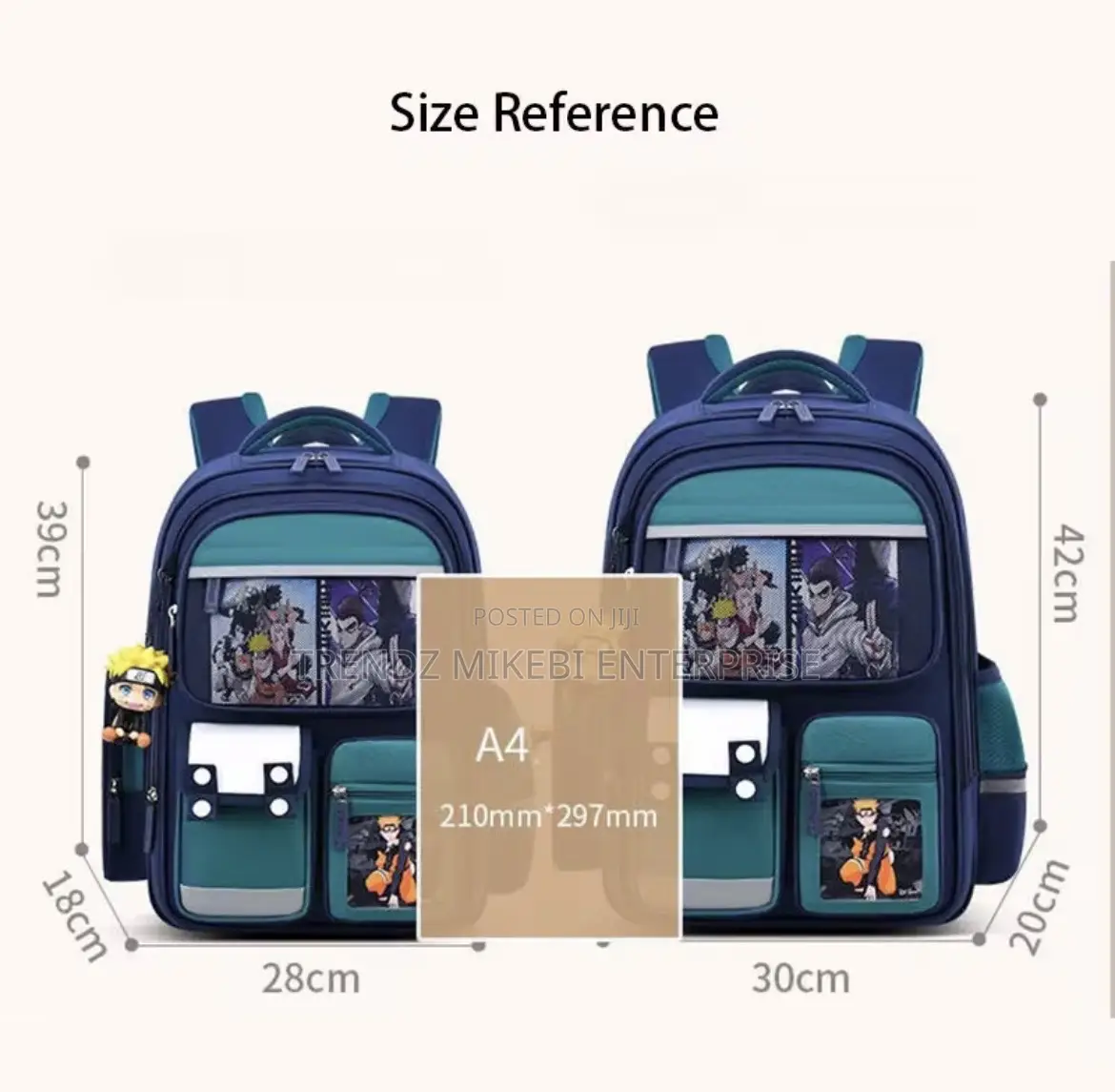 Laptop School Bags
