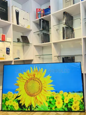 2023 Samsung 65 Inches
