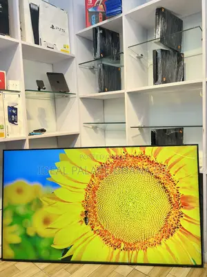 2023 Samsung 65 Inches