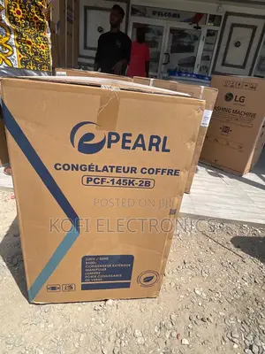 Pearl Freezer 100l Energy-Efficient Strong
