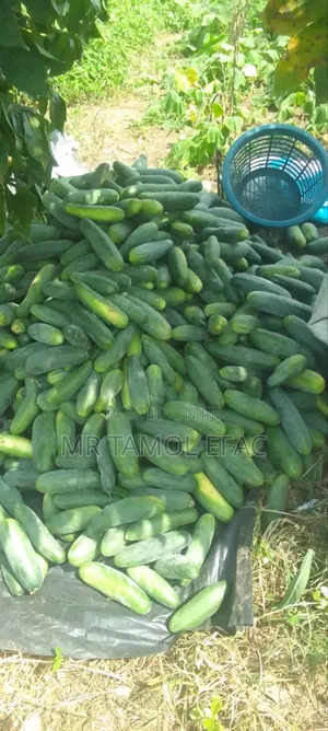 Farm Workers/ Farm Hands
