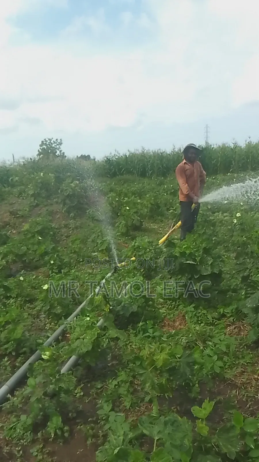 Farm Workers/ Farm Hands