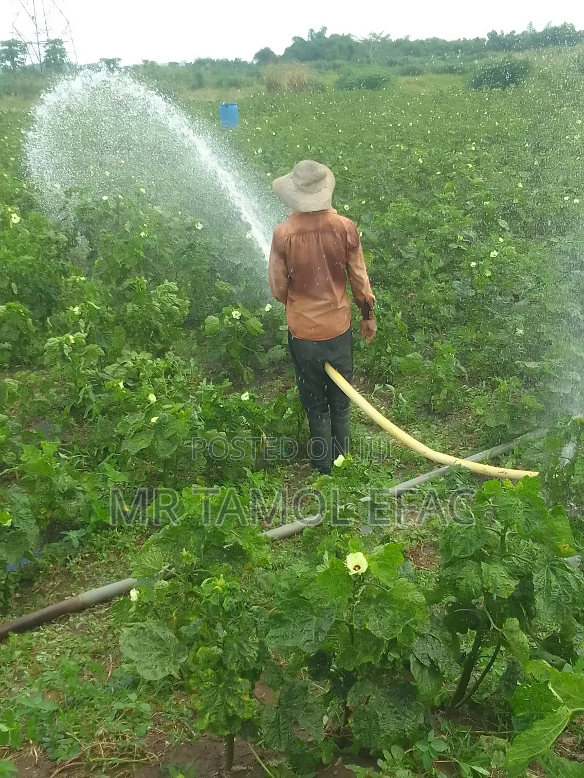 Farm Workers/ Farm Hands