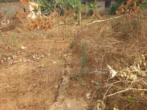 Plot for Sale at Anwomaso