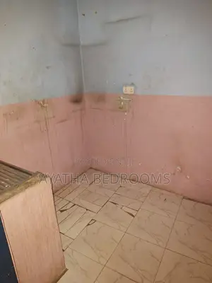 1bdrm Apartment in Modern Properties, New Town for rent